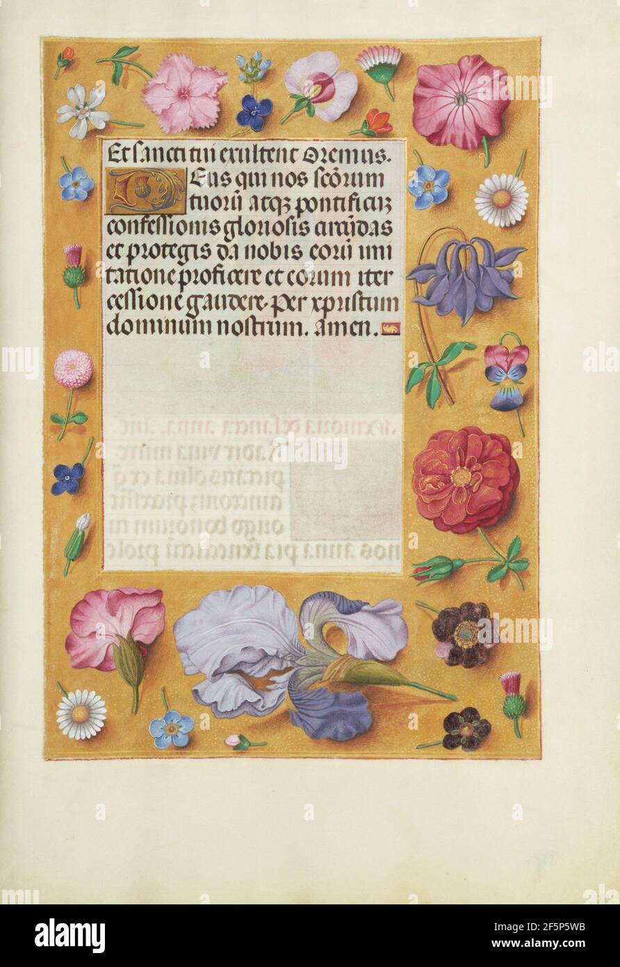 Dekorierte Textseite. Unbekannt Stockfoto