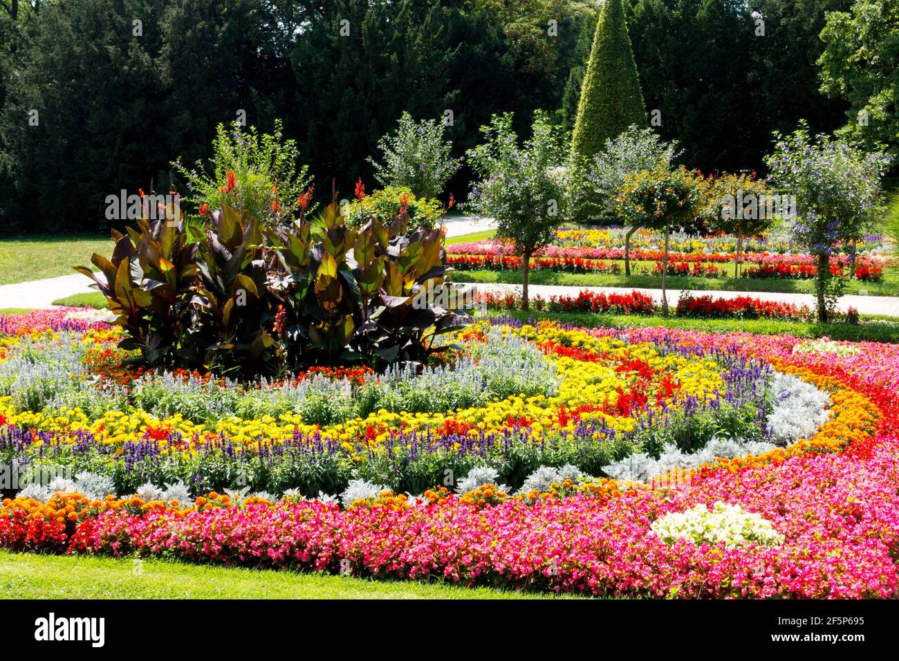 Blumenbeete in einem farbenfrohen Kreis angeordnet, Garten jährliche Pflanzen Blumenbeete Stockfoto