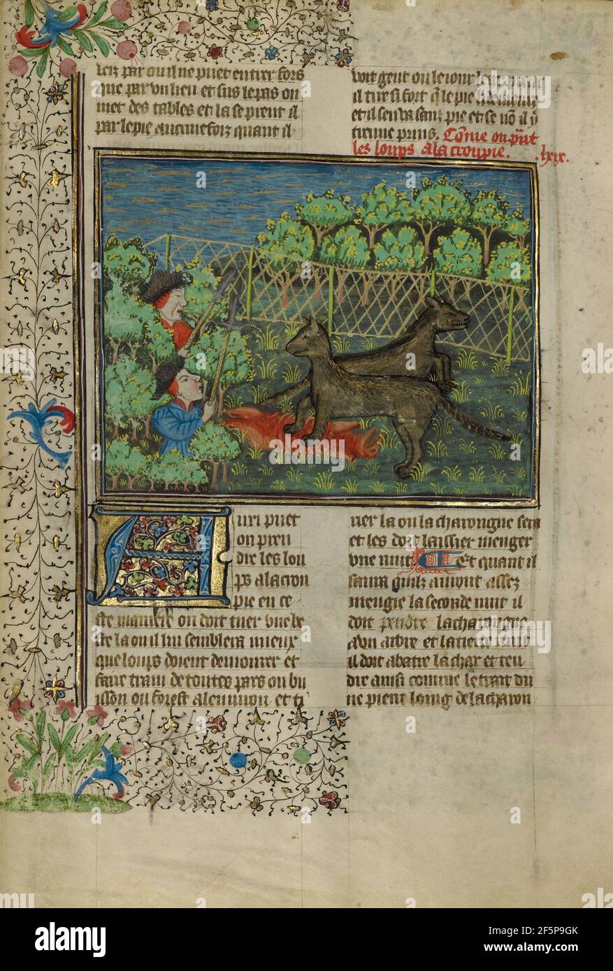 Jäger locken Wölfe mit Carrion. Unbekannt Stockfoto