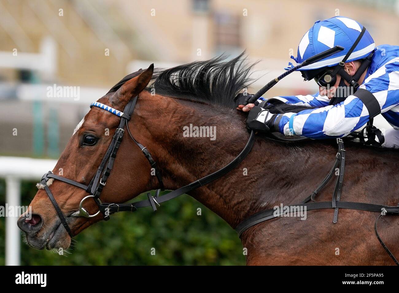 Haqeeqy mit Benoit de la Sayette gewinnt den Unibet Lincoln auf der Doncaster Racecourse. Bilddatum: Samstag, 27. März 2021. Stockfoto