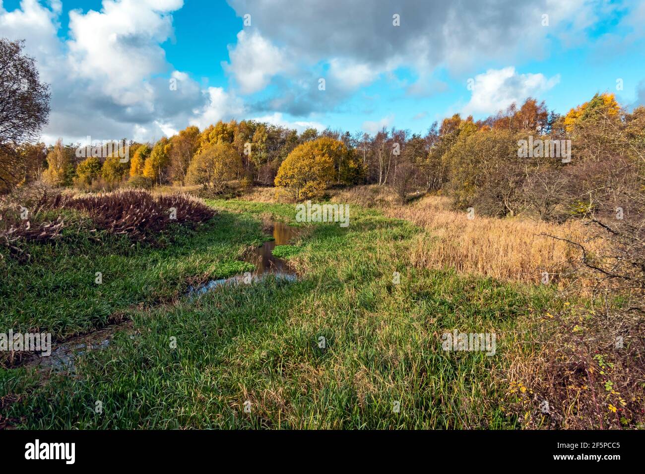 Herbstfarben an den stillstehenden schottischen Kanälen im Besitz von Monkland Canal in der Nähe Calderbank in Lanarkshire Scotlanld UK, wo Kanalschiff Vulcan Wurde gebaut Stockfoto