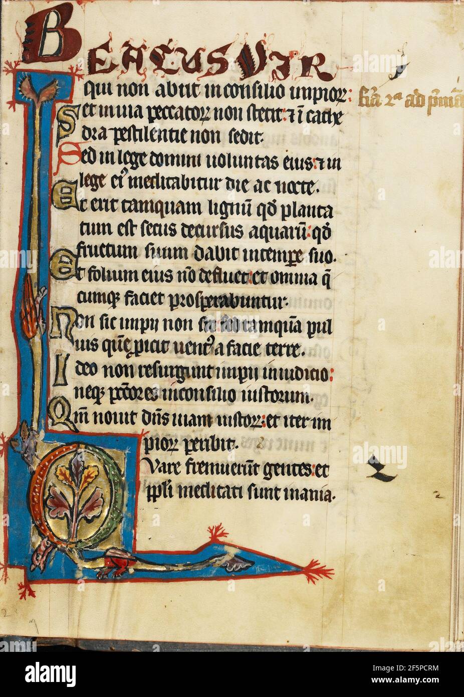 Dekoriert Initial Q. Unbekannt Stockfoto