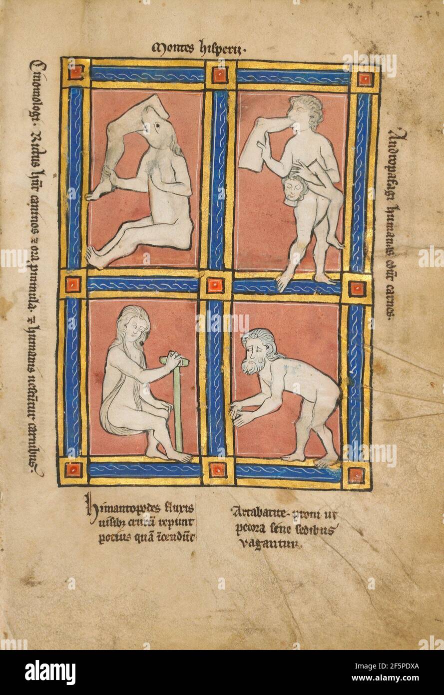 Cinomologus; Anthropophagus; Himantopode; Artabatit. Unbekannt Stockfoto