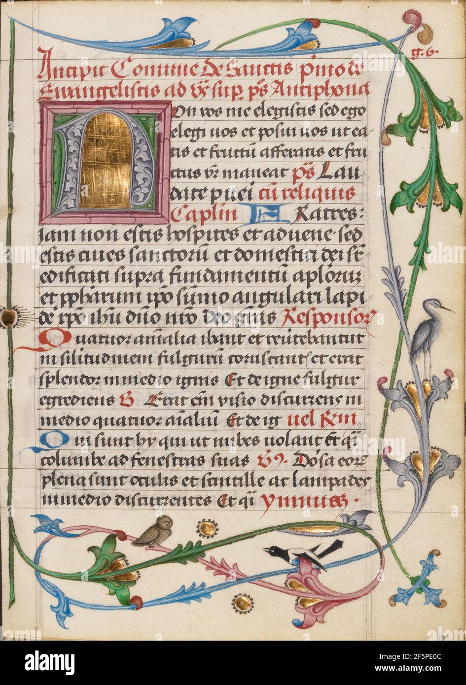 Dekoriert Initial N. Unbekannt Stockfoto