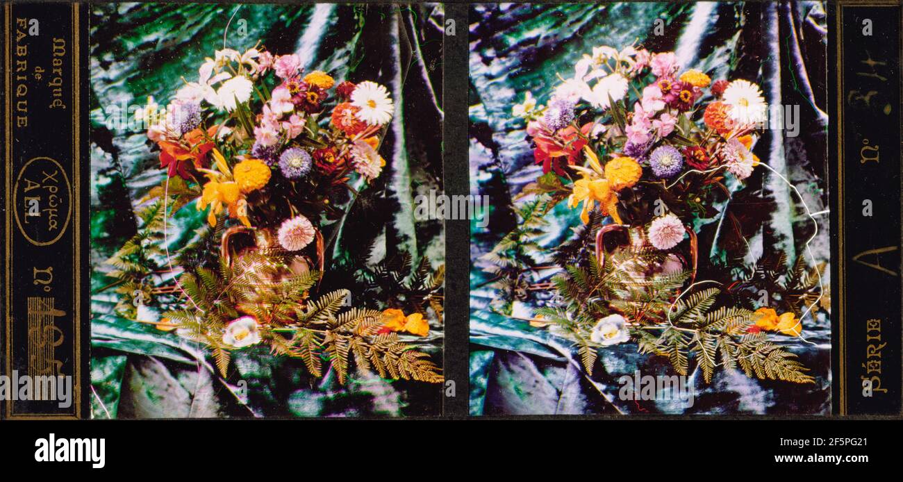 Stillleben von Blumen und Farnen. Brüder Lumière Stockfoto