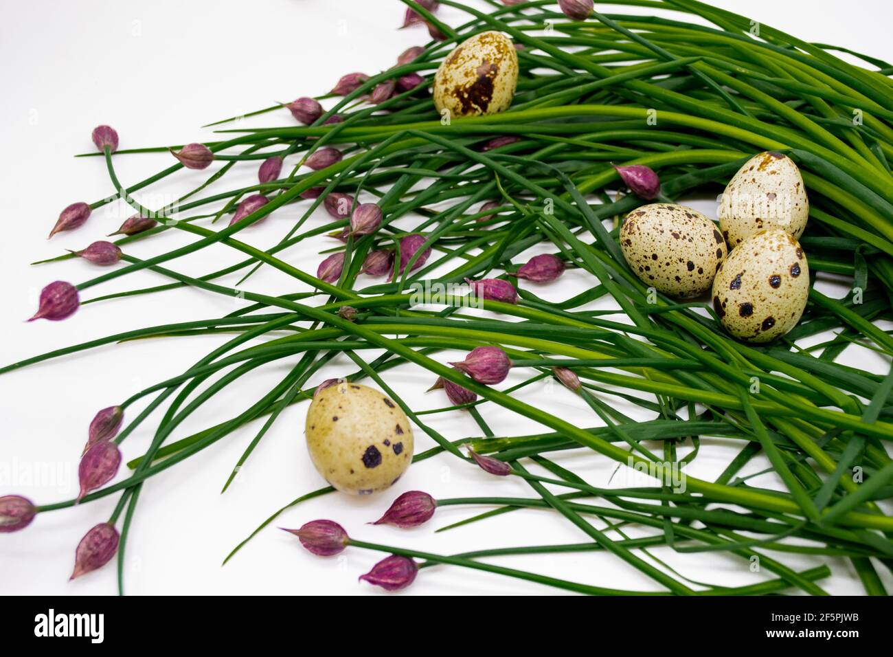 Frische grüne Zwiebelsprossen mit rosa Knospen, darunter Wachteleier. Das Konzept des Bio-Osterfestes. Speicherplatz kopieren. Stockfoto