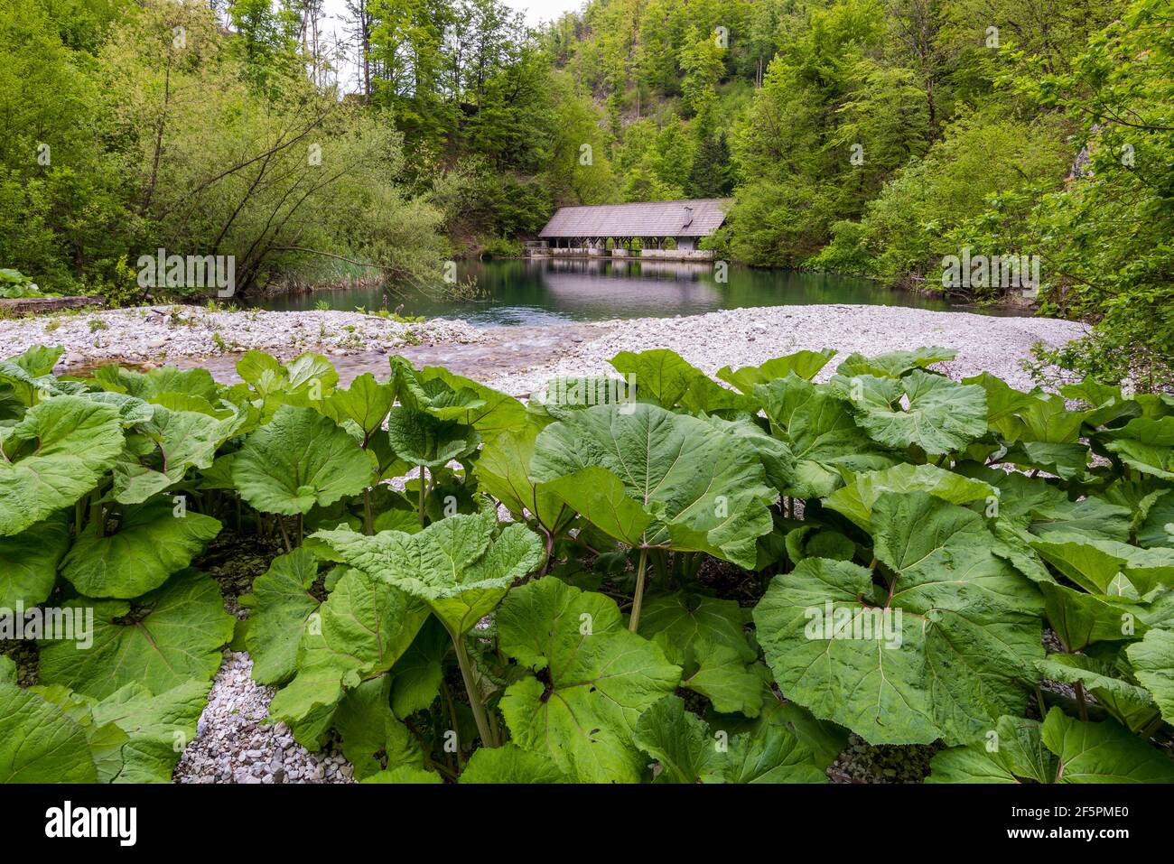 Klavze Wasserbarrieren im Tal des Flusses Kanomljica, Spodnja Idrija, Slowenien Stockfoto