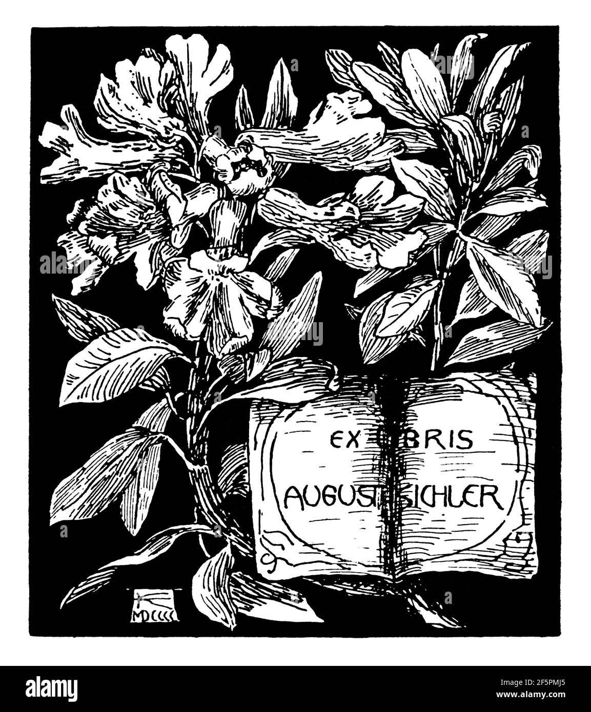 Persönliches florales Musterbuch des deutschen Künstlers Auguste Kichler, aus dem Jahr 1901 das Studio ein Illustriertes Magazin für Kunst und angewandte Kunst Stockfoto