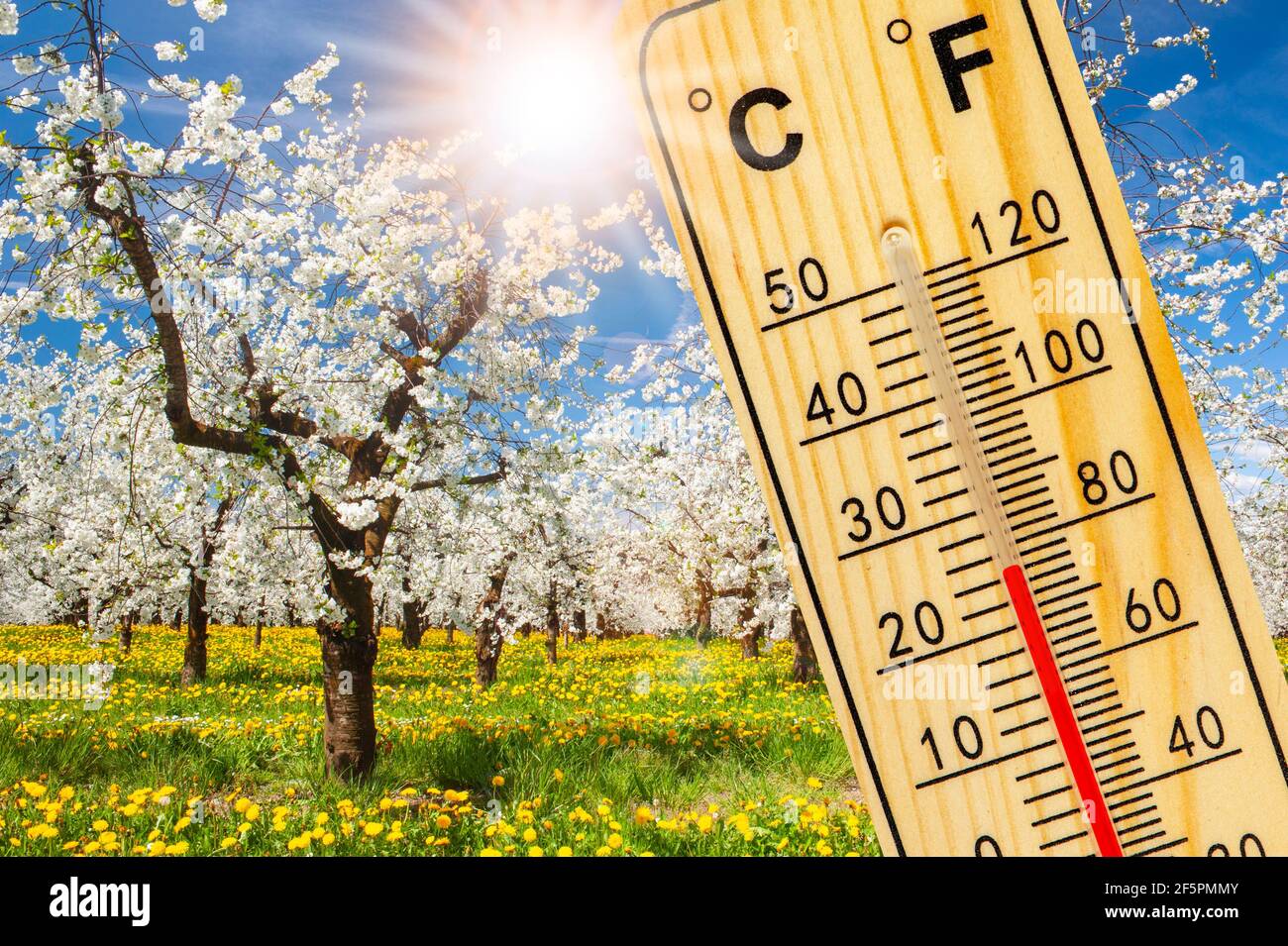 Warme Temperatur im Frühling mit schönem Wetter und Sonne Stockfoto