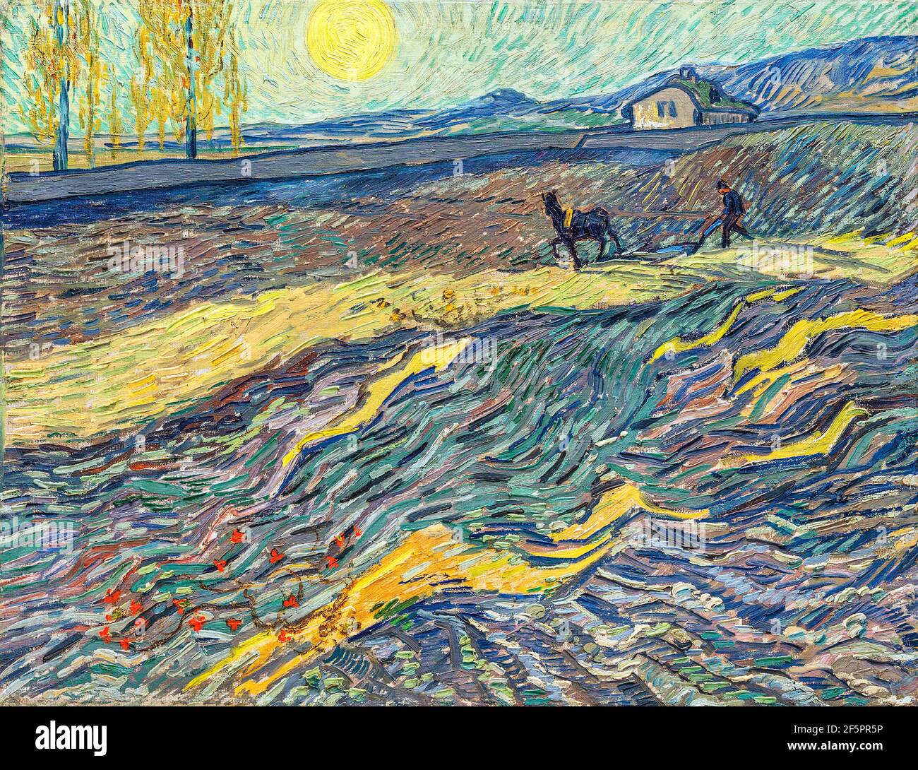 Arbeiter im Feld (Laboreur dans un Champ) von Vincent van Gogh (1853-1890), Öl auf Leinwand, 1889 Stockfoto