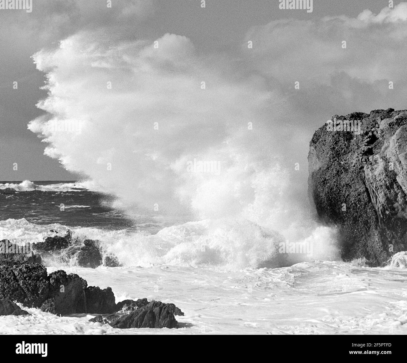 South Shore, Point Lobos State Natural Reserve Stockfoto