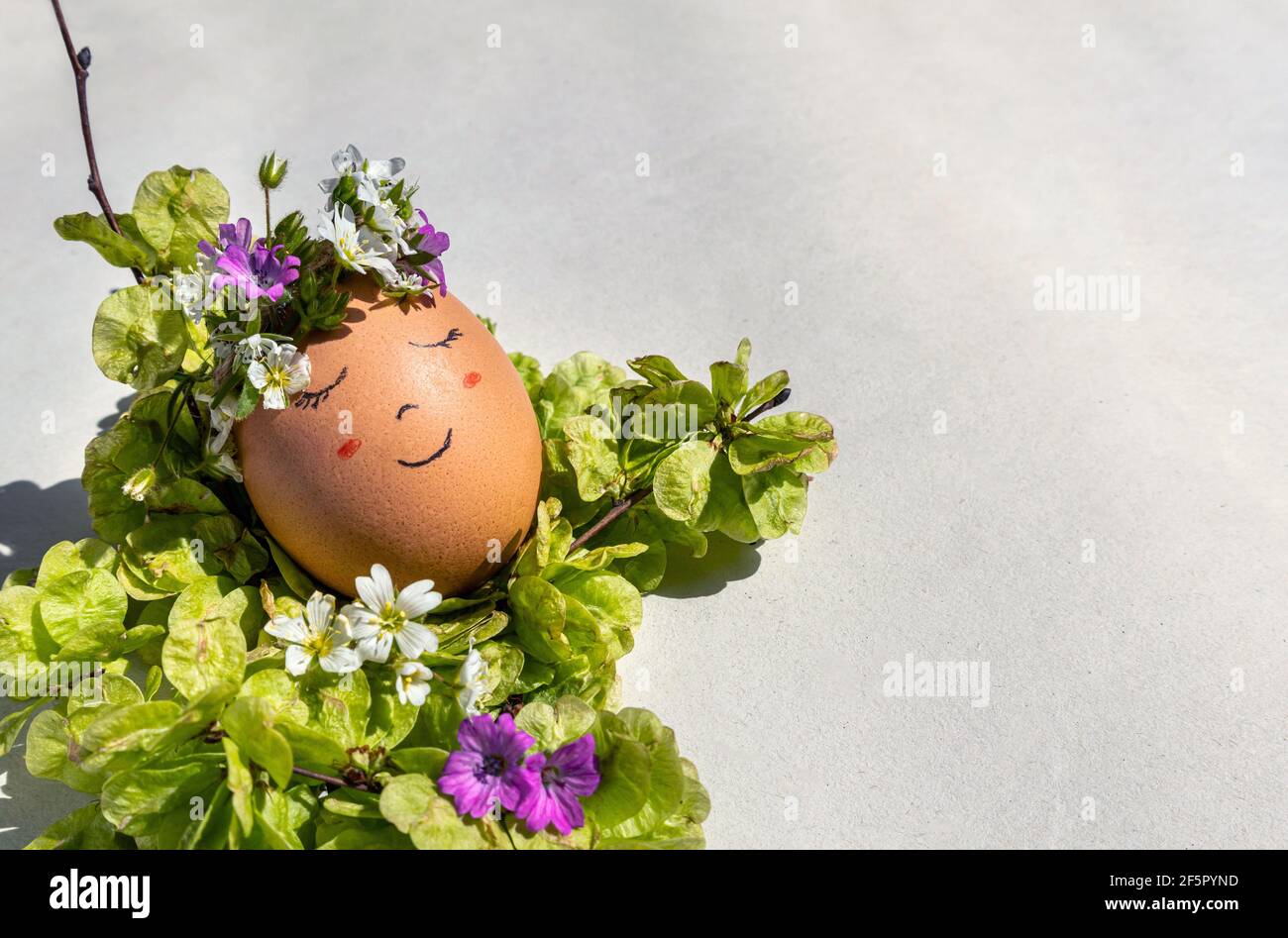 Ein lächelndes Ei für ein Ostern- und Frühlingskonzept. Ein Ei mit einem lächelnden Gesicht und einer Blumengirlande, die die Frühlingssonne auf einem Bett aus Ulmenkernen genießt. Stockfoto