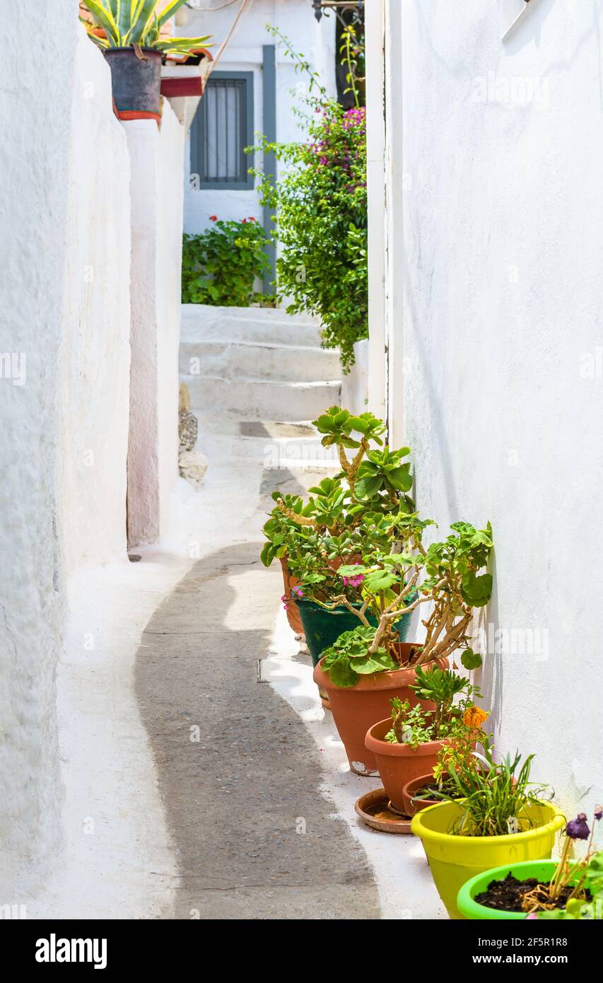 Straße im Plaka Bezirk, Athen, Griechenland. Plaka ist Touristenattraktion von Athen. Schöne gemütliche schmale Gasse mit Pflanzen, Blumen und alten weißen Häusern Stockfoto