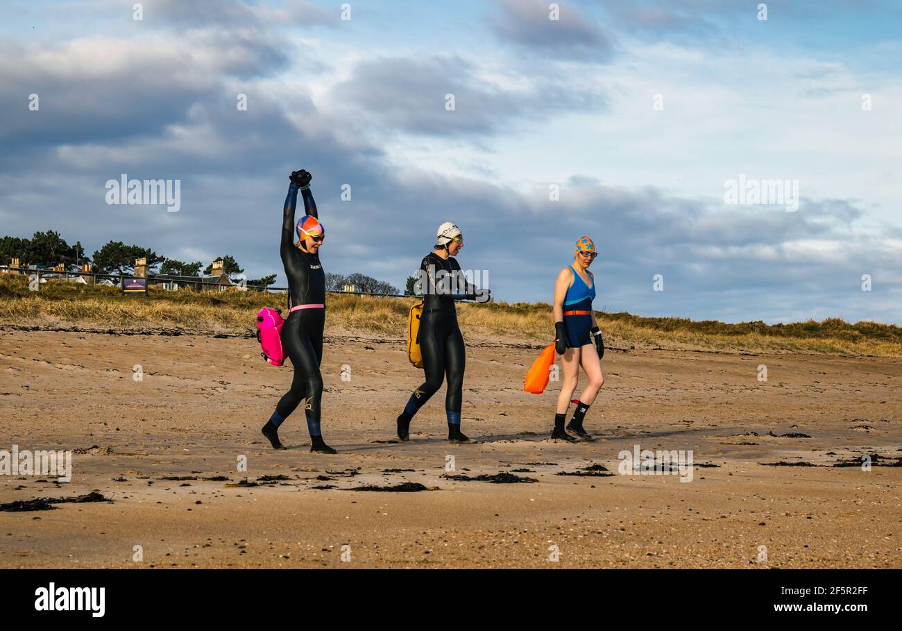 Wildwasser- oder Freiwasser-Schwimmerinnen in Neoprenanzügen mit schwimmenden Schwimmkörben wandern am Strand nach Firth of Forth Sea, North Berwick, East Lothian, Schottland, Großbritannien Stockfoto