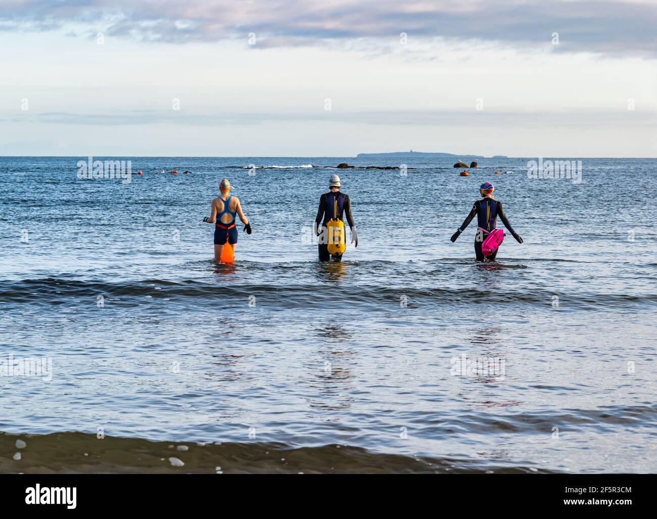 Wilde oder offene Wasser Schwimmerinnen tragen Neoprenanzüge mit schwimmenden Schwimmern in den Firth of Forth Sea, North Berwick, East Lothian, Schottland, Großbritannien Stockfoto