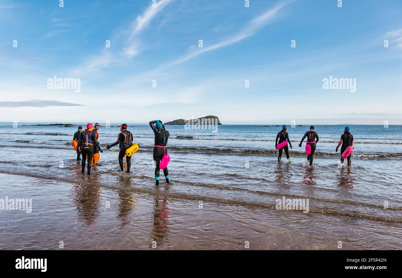 Eine Gruppe wilder Freiwasser-Schwimmerinnen, die Neoprenanzüge mit Schwimmhilfen tragen, betreten Firth of Forth Sea, North Berwick, East Lothian, Schottland, Großbritannien Stockfoto