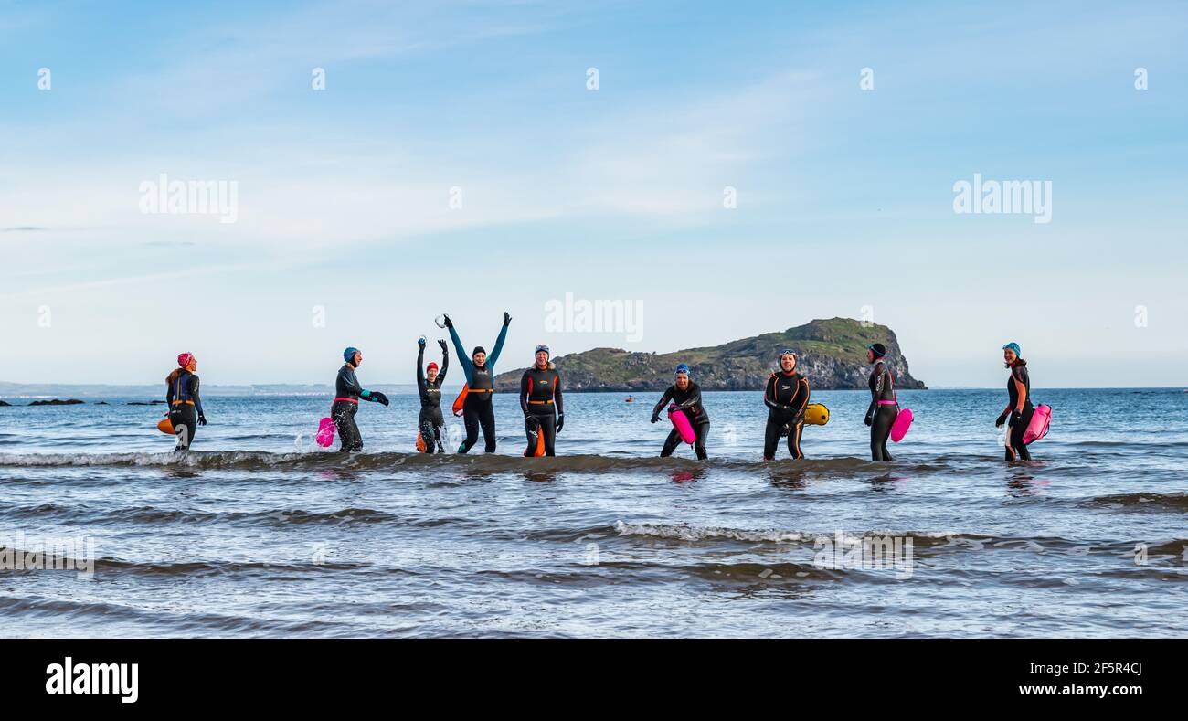 Eine Gruppe wilder Freiwasser-Schwimmerinnen in Neoprenanzügen betreten das Meer in einer Linie, West Bay, North Berwick, East Lothian, Schottland, VEREINIGTES KÖNIGREICH Stockfoto