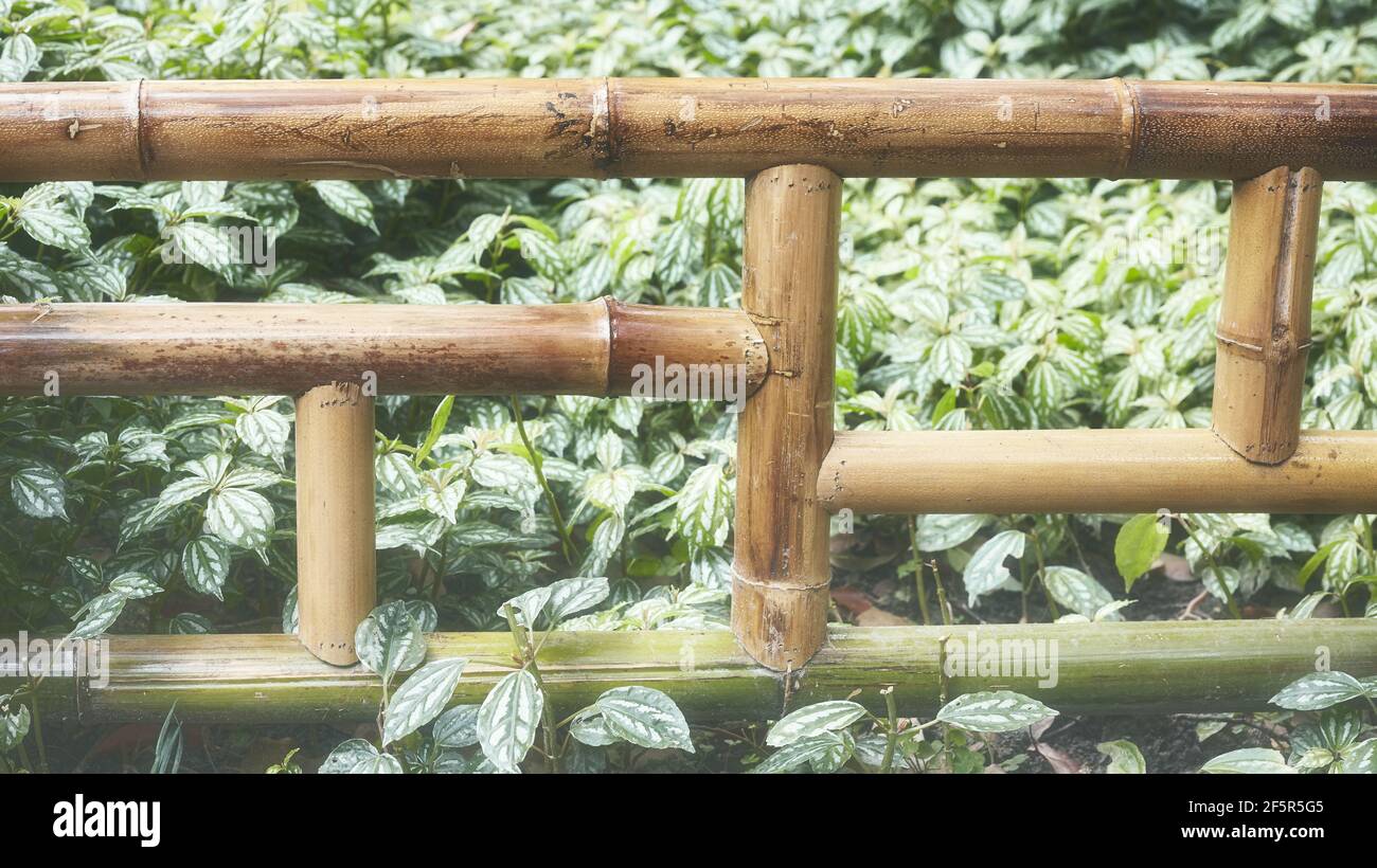 Nahaufnahme eines Bambuszauns im Garten, farbiger orientalischer Hintergrund, selektiver Fokus. Stockfoto