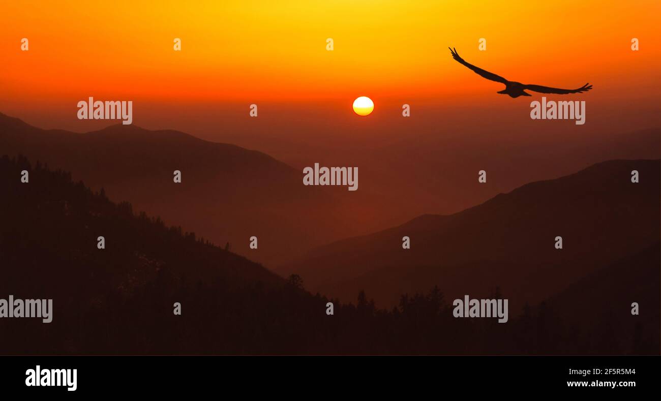 Heller Sonnenuntergang mit einer großen gelben Sonne über den Hügeln. Stockfoto