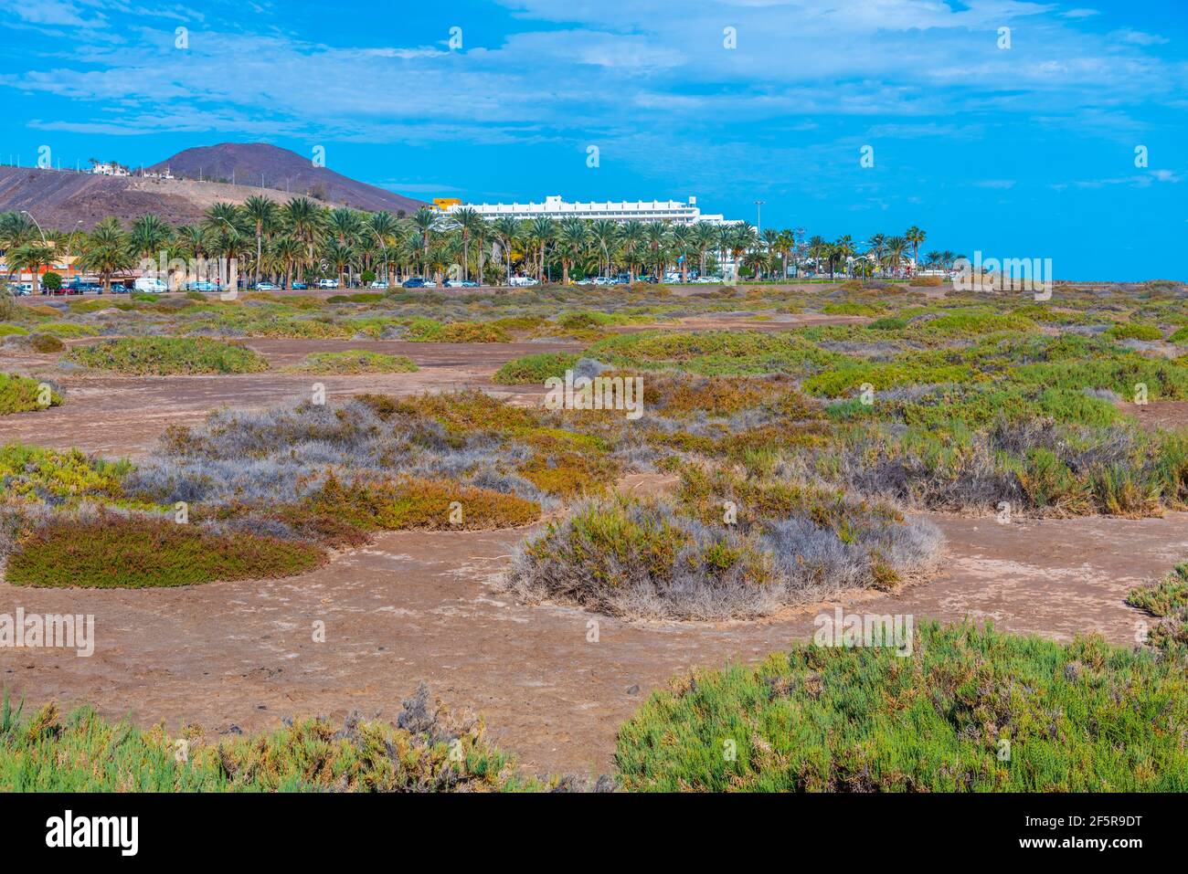 Ferienwohnungen hinter einem Naturschutzgebiet in Morro Jable, Fuerteventura, Kanarische Inseln, Spanien. Stockfoto