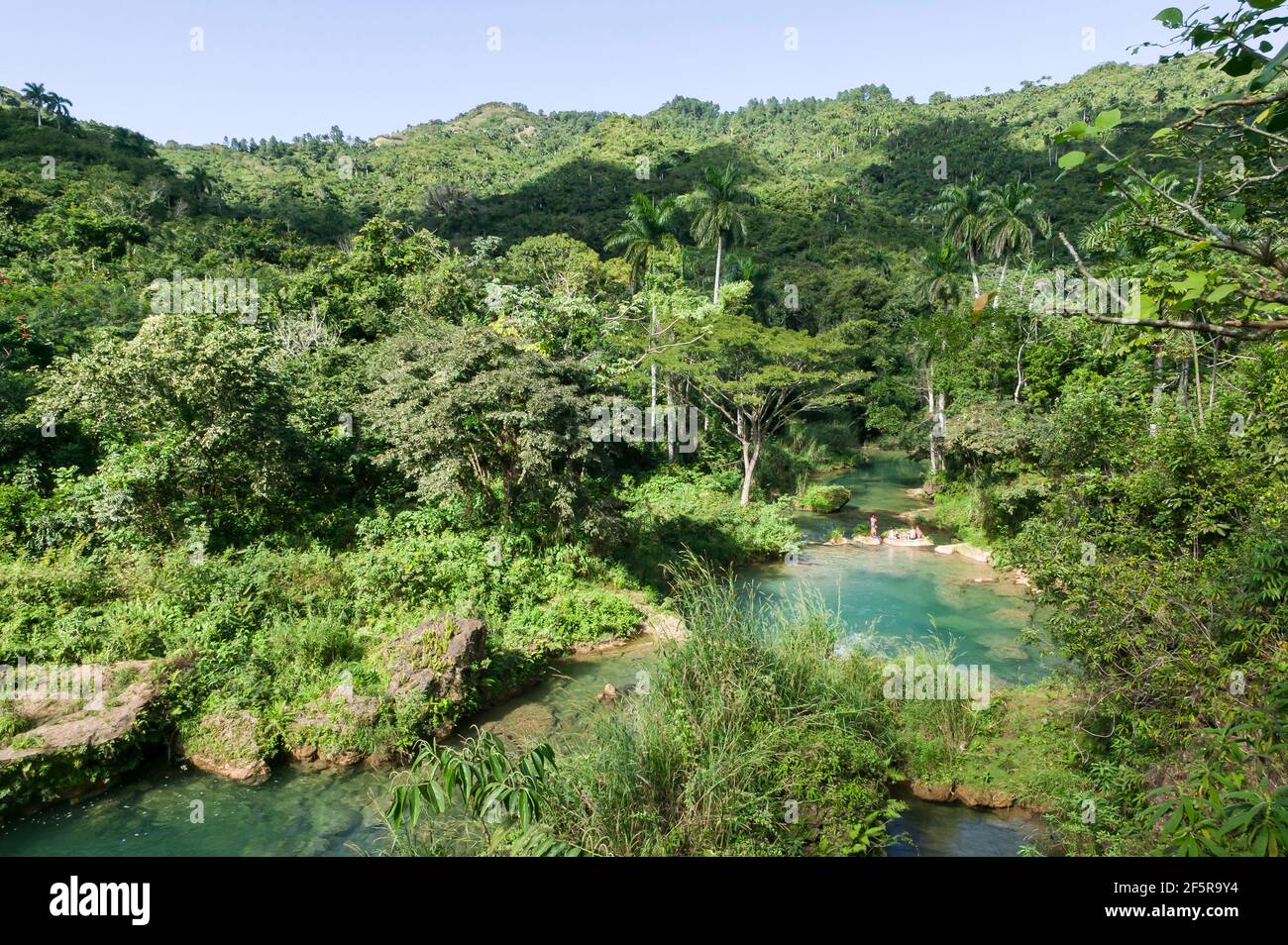 Natürliche Pools mit klarem Wasser flussabwärts des Wasserfalls El Nicho im Escambray-Gebirge, Kuba. Stockfoto