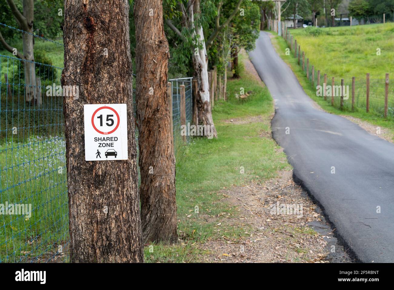 Speed und Shared Road Zeichen auf Baum neben schmalen Straße. Stockfoto