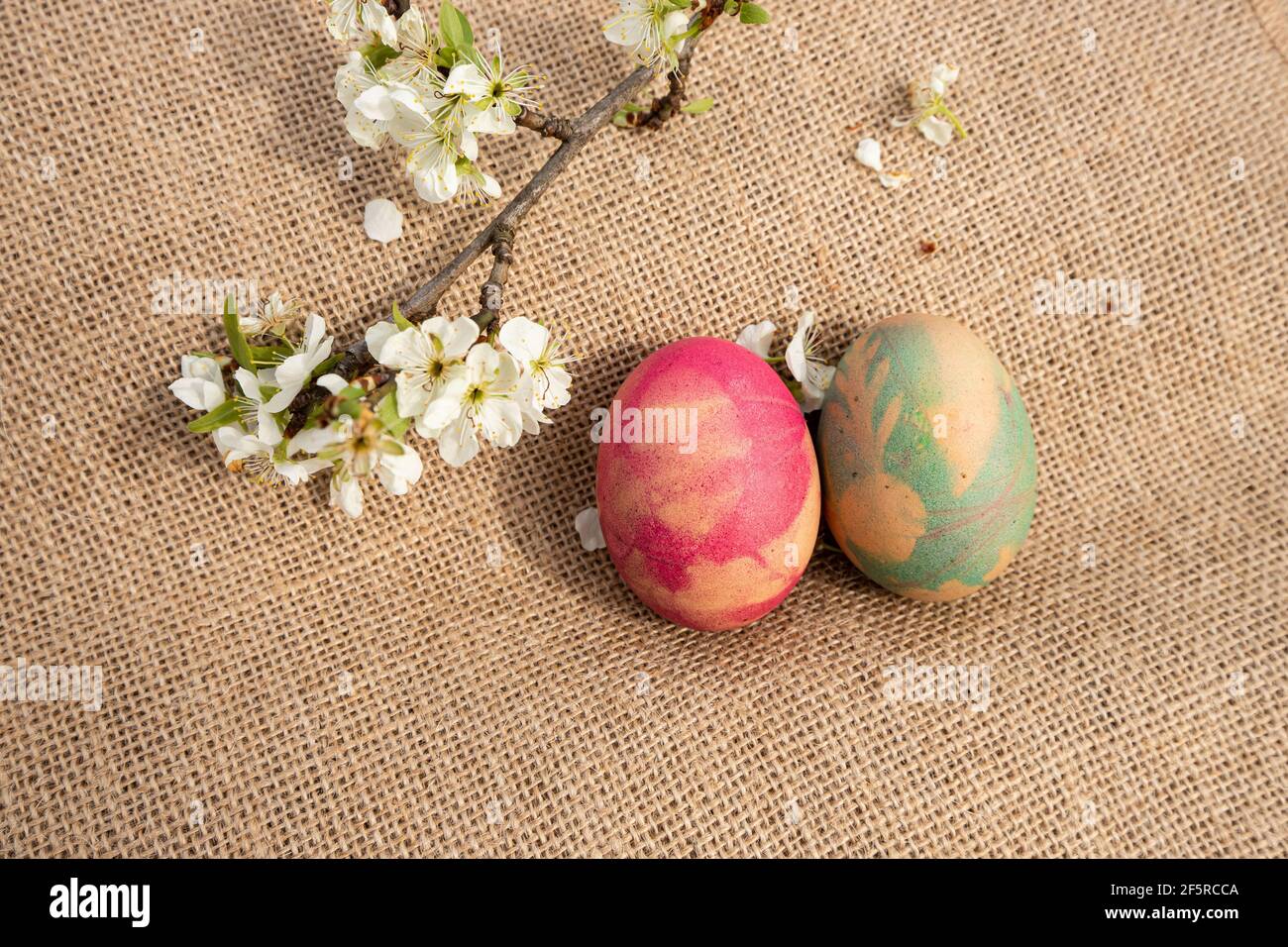 Frühling und Osterkonzept. Naturfarbene Eier mit Kirschblütenzweig auf Jute-Stoff-Hintergrund. Stockfoto