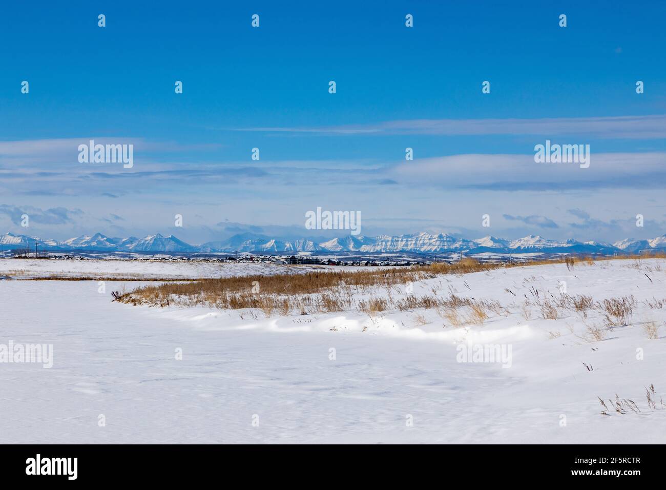 Alberta Foothills, Rocky Mountains im Hintergrund, Winter, schneebedecktes Feld im Vordergrund. Stockfoto