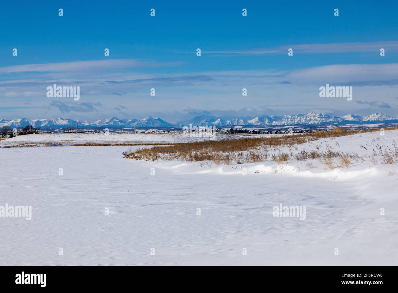 Alberta Foothills, Rocky Mountains im Hintergrund, Winter, schneebedecktes Feld im Vordergrund. Stockfoto