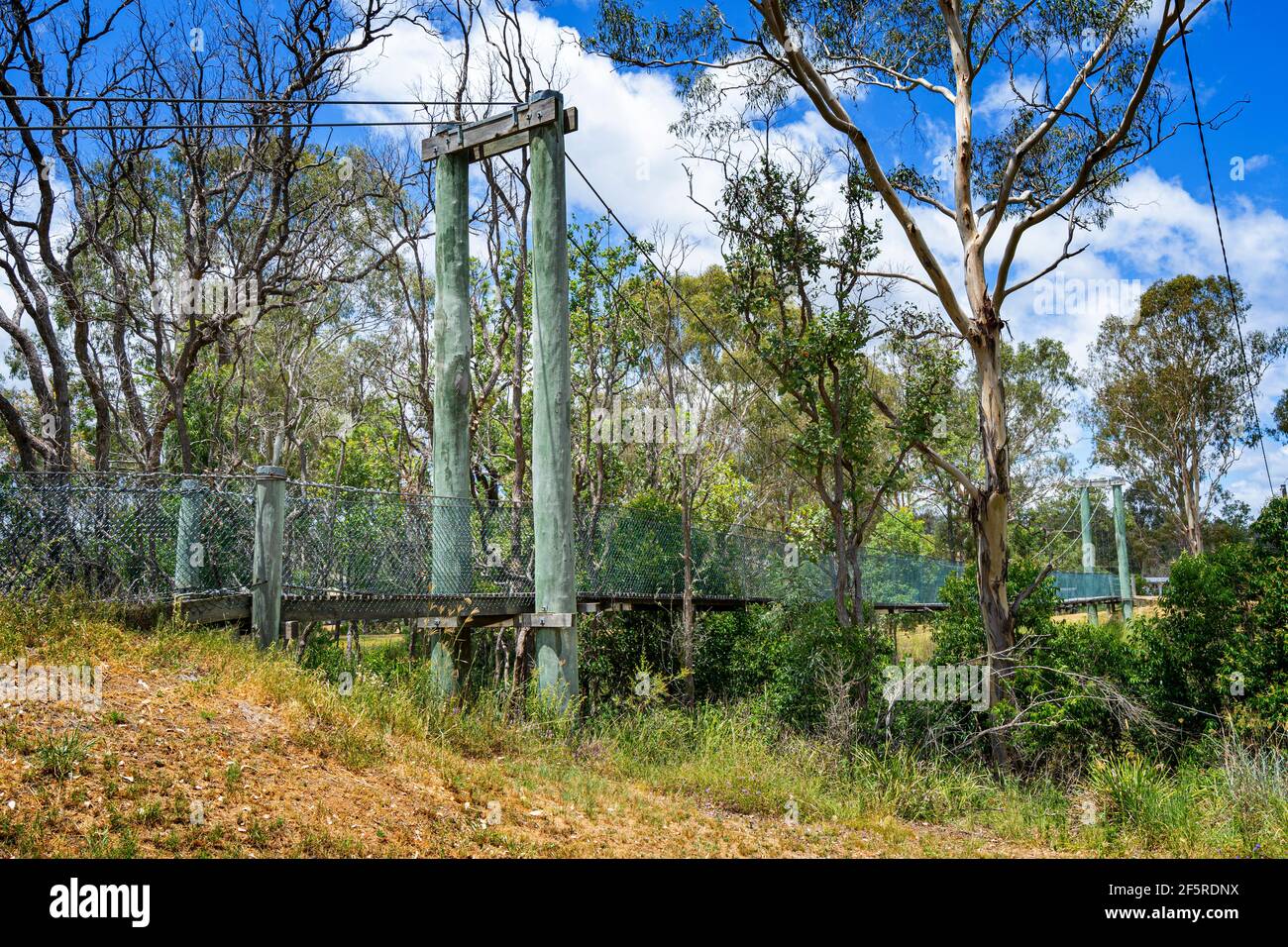 Schwingende Brücke über Cooyar Creek im Cooyar Swinging Bridge Park, Cooyar, Queensland, Australien Stockfoto