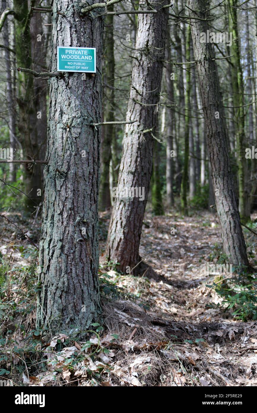 Private Woodland mit kein öffentliches Recht auf Weg Zeichen in Großbritannien Stockfoto