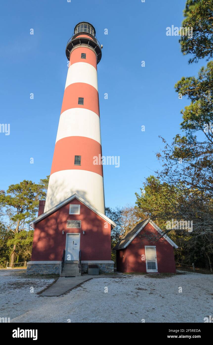 Assateague Lighthouse entlang der Küste von Chincoteague Island in Virginia, MD Stockfoto