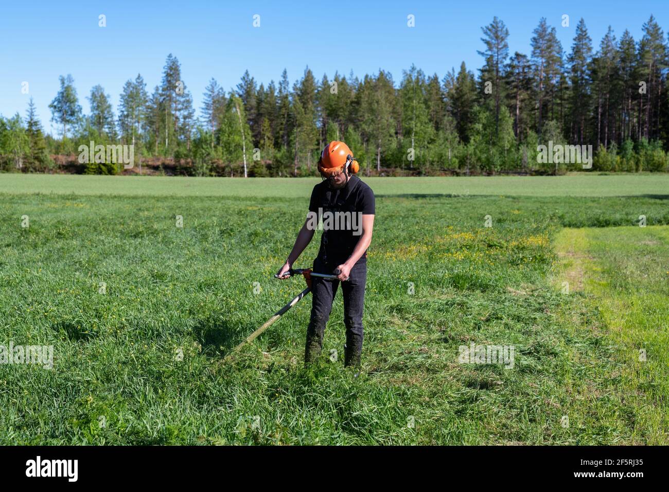 Vorderansicht des Jungen im Teenageralter, der Gras mit einem handgeführten Benzinrasenmäher mäht. Er trägt Kopfhörer mit Augen- und Gehörschutz. Gesundheits- und Sicherheitskonzept, worke Stockfoto