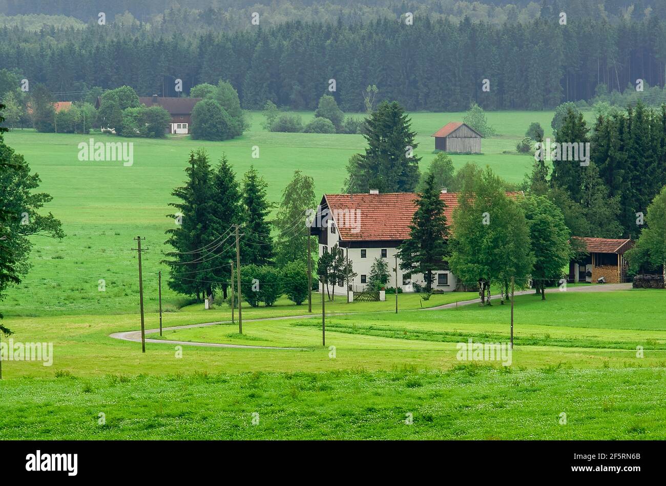 Bayerische Bauernhöfe im Wald, umgeben von grünen Weiden. Stockfoto
