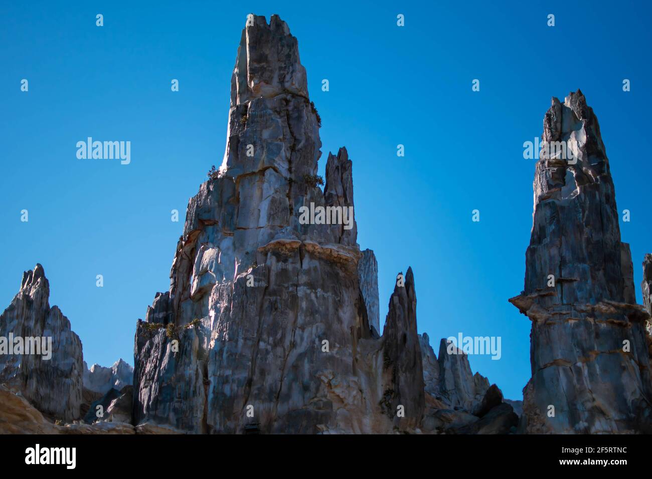Orlando, Florida. Januar 05, 2021. Leute, die die Slinky Dog Dash Achterbahn in den Hollywood Studios genießen (190) Stockfoto