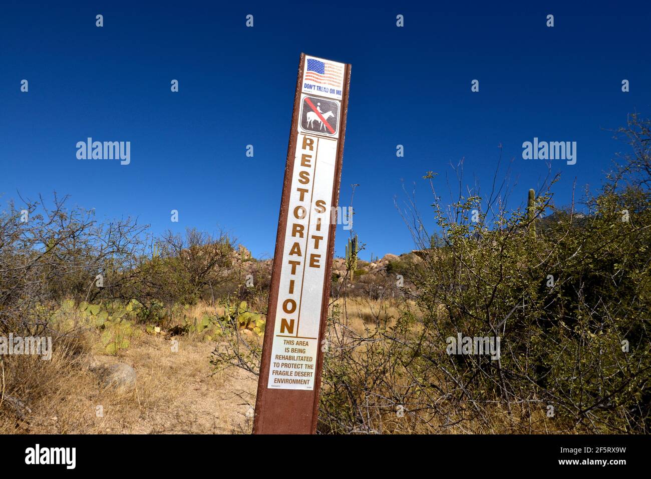 Ein Schild zeigt, dass ein Bereich für die Wiederherstellung in den Ausläufern der Santa Catalina Mountains, Sonoran Wüste Coronado National Forest beschränkt ist, Stockfoto