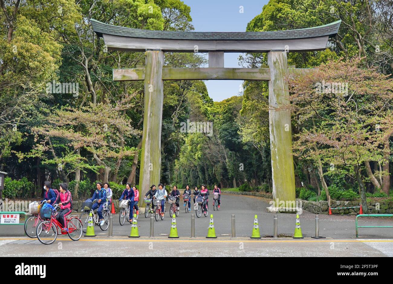 Torii-Tor aus japanischer Zypresse am Gokoku-Schrein von Fukuoka. Diese Torii ist zufällig die größte aus rohem Holz hergestellte Torii in Japan. Stockfoto