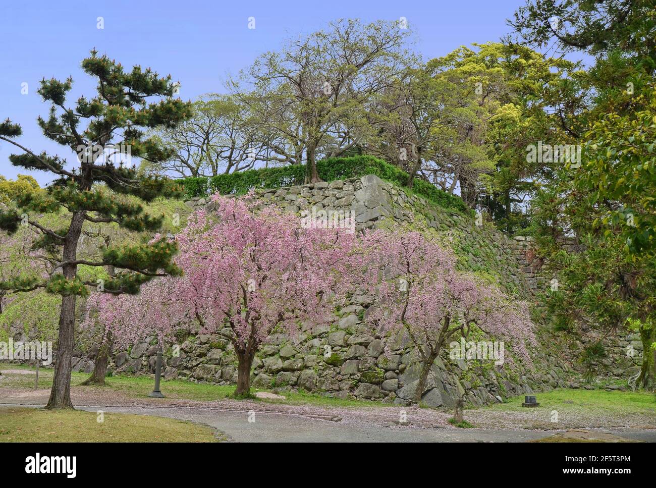 Die Ruinen der Burg Fukuoka befinden sich im Maizuru Park, benannt nach dem Namen der Burg, der Burg Maizuru Castle, die 1603 erbaut wurde. Fukuoka, Japan, 04-07-2015 Stockfoto