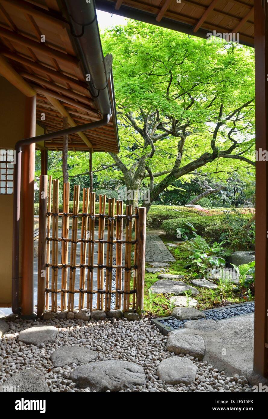 Shofuen Garten und Teestube, Fukuoka Stadt, Japan. Standort von Shofuso, der Residenz des berühmten Zenpachi Tanakamaru. Stockfoto