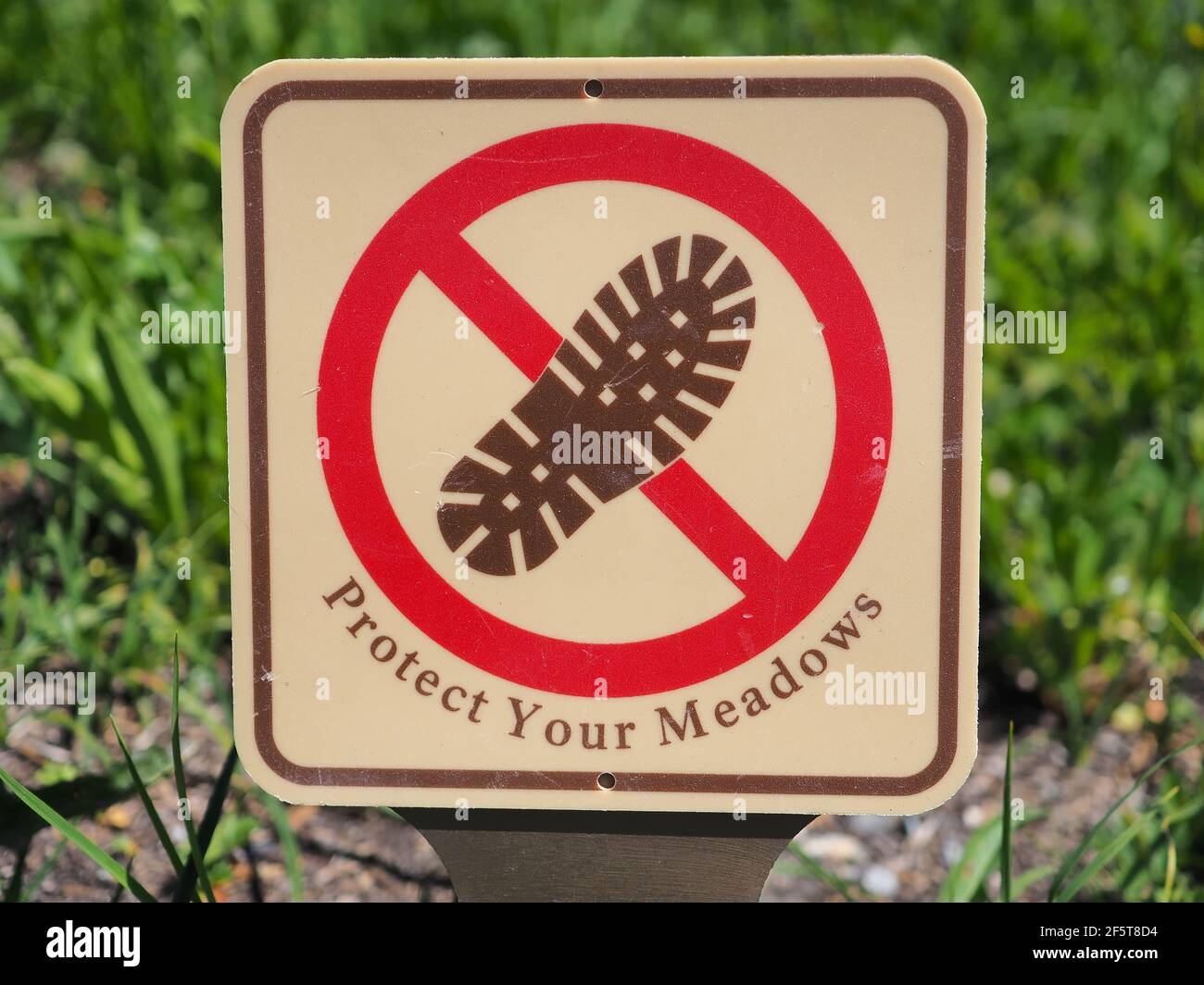 Schild „Protect Your Meadows“ in der Nähe eines Pfades im Mount Rainier National Park, Bundesstaat Washington, USA Stockfoto