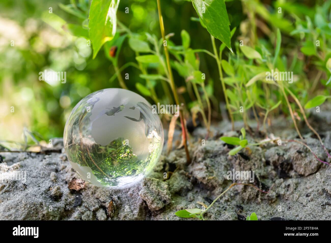 Glaskugel auf dem Sand im grünen Gras. Umweltkonzept, Naturschutz Stockfoto
