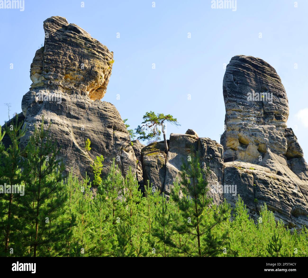 Sandsteinfelsen im Naturschutzgebiet Hruboskalsko, Böhmisches Paradies (Cesky Raj), Tschechien. Stockfoto