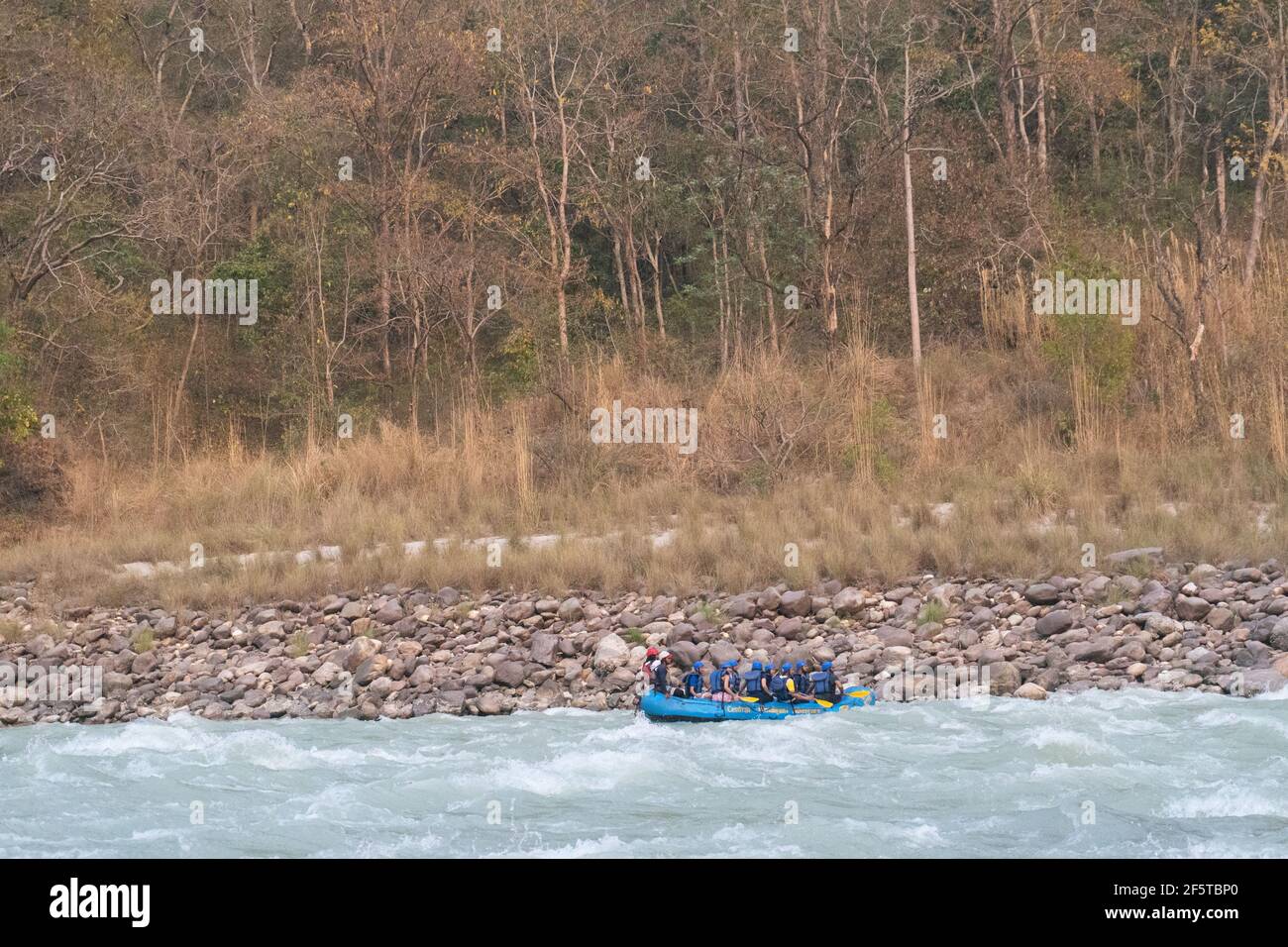 Beim Rafting auf dem Fluss in Rishikesh bewegt sich das Rafting-Boot in seinem eigenen Tempo mit den Wellen des Wassers. Wald bedeckt mit Hügeln und Bäumen dahinter, Stockfoto