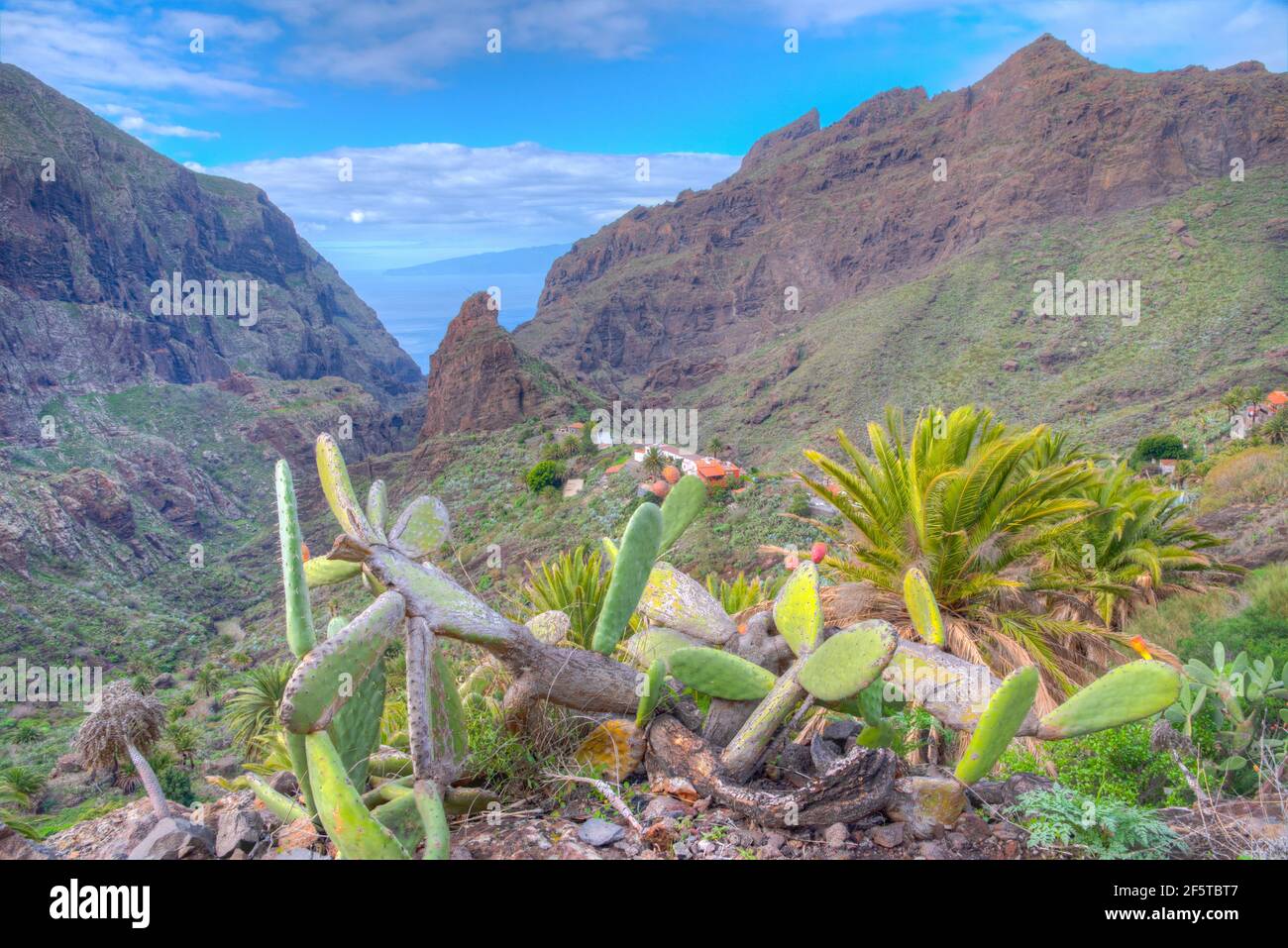 Landschaft des Masca-Tals auf Teneriffa, Kanarische Inseln, Spanien. Stockfoto