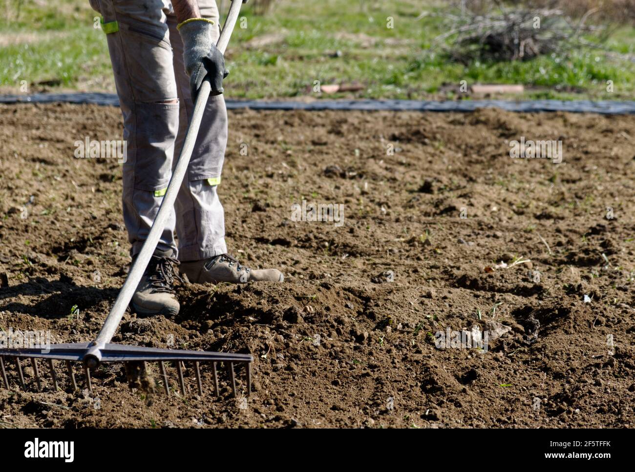 Ein Bauer bereitet den Boden für den Sommergarten mit einem Rechen vor. Hochwertige Fotos Stockfoto