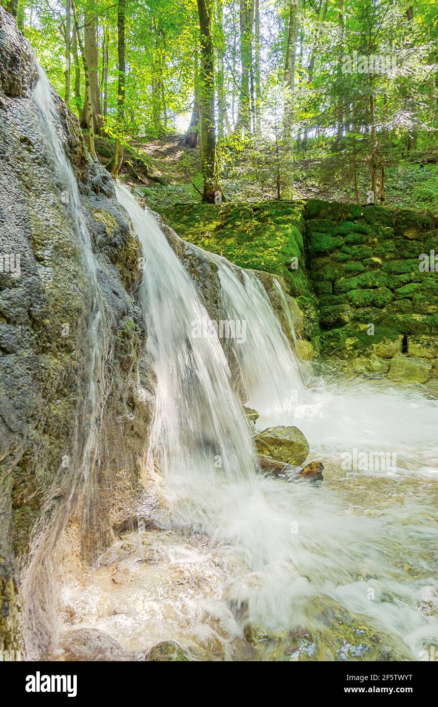 Kleiner Wasserfall eines wilden Baches an einem sonnigen Sommertag. Klares Wasser eines Baches in einem Buchenwald fließt über einen alten Damm, als Torrent Control gebaut. Stockfoto