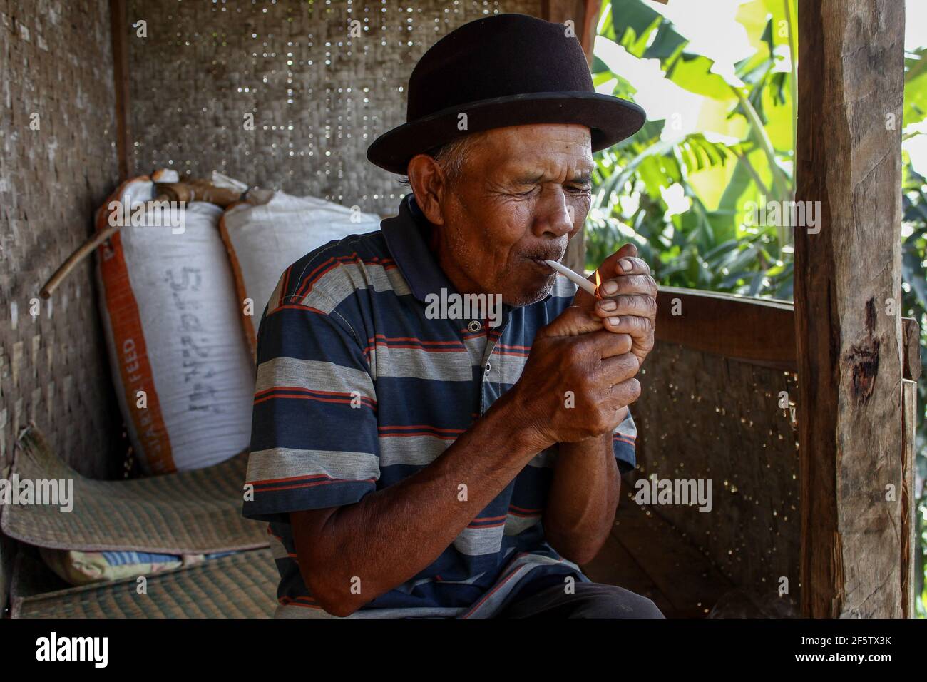 Abah Udi raucht Zigaretten aus trockenem Tabak, der von ihm in Sumedang hergestellt wird. Banyuresmi Village, Sumedang Regency ist nach Garut als das zweitgrößte Tabakanbaugebiet in West-Java bekannt. Die Mehrheit der Einwohner dieses Dorfes wählt, als Tabakbauern zu arbeiten, die von Generation zu Generation praktiziert wurden. Wenn wir dieses Dorf besuchen, werden wir sehen, wie weite Flächen des Tabaktrocknungsprozesses unter der Sonne die Dorfstraßen, Dächer, Terrassen des Hauses füllen. Dieses Dorf ist in der Lage, die Marktnachfrage aus allen indonesischen Provinzen einschließlich West Java, Bali und Sumatra zu erfüllen. Einige von ihnen waren es sogar Stockfoto