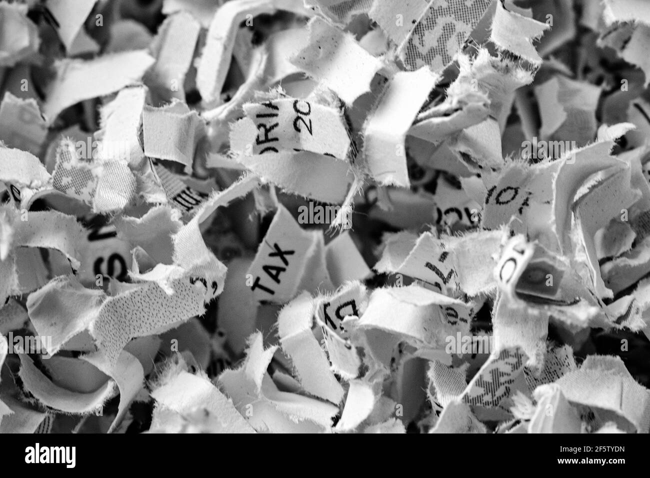 Eine Makroaufnahme von geschreddert Rechnungen und Dokumente zeigt das Wort "Steuer" unter den kleinen Stückchen Papier. Stockfoto
