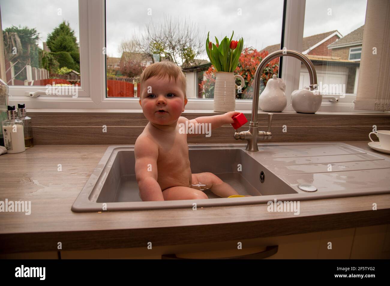 Ein Baby, das in einem Küchenwaschbecken gebadet wird Stockfoto