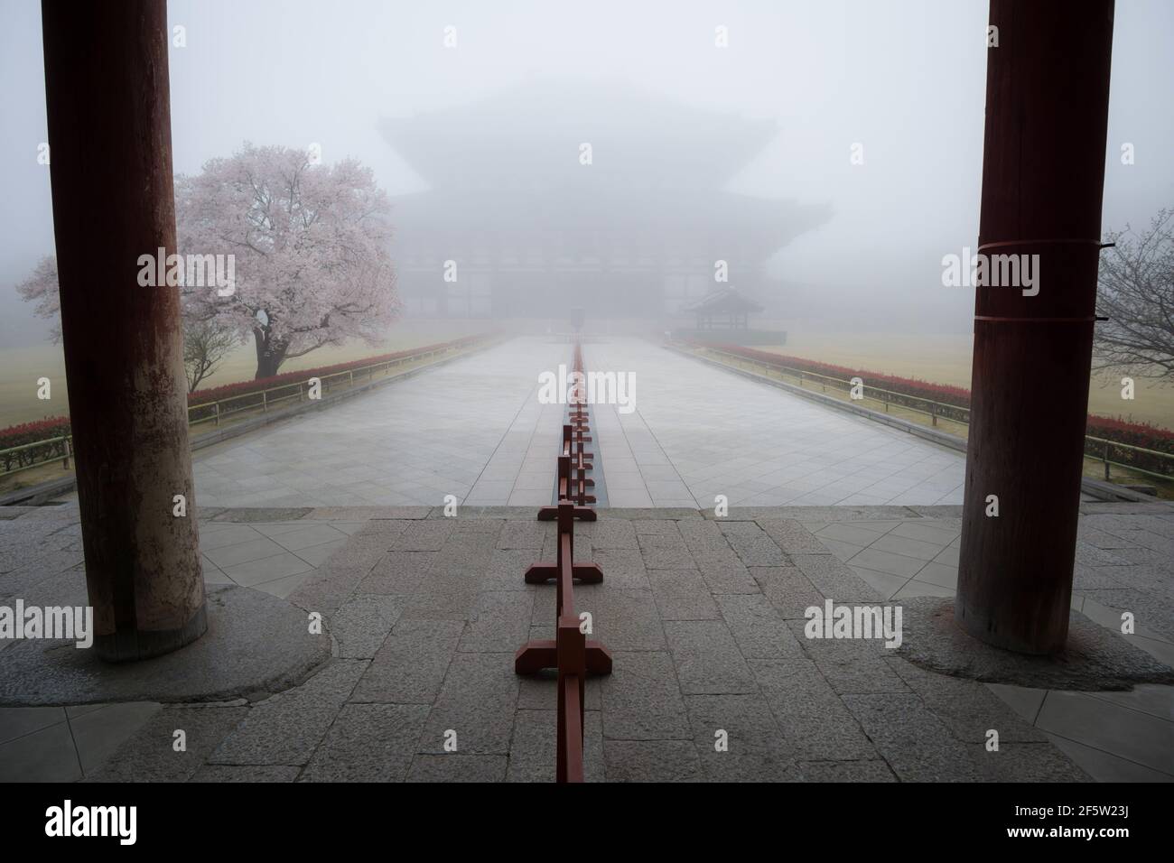 Verlassene Todaiji Tempel in Nara, Japan an einem nebligen Morgen im März. Coronavirus-Ängste haben zu reduzierten Besucherzahlen an vielen berühmten touristischen Orten geführt Stockfoto